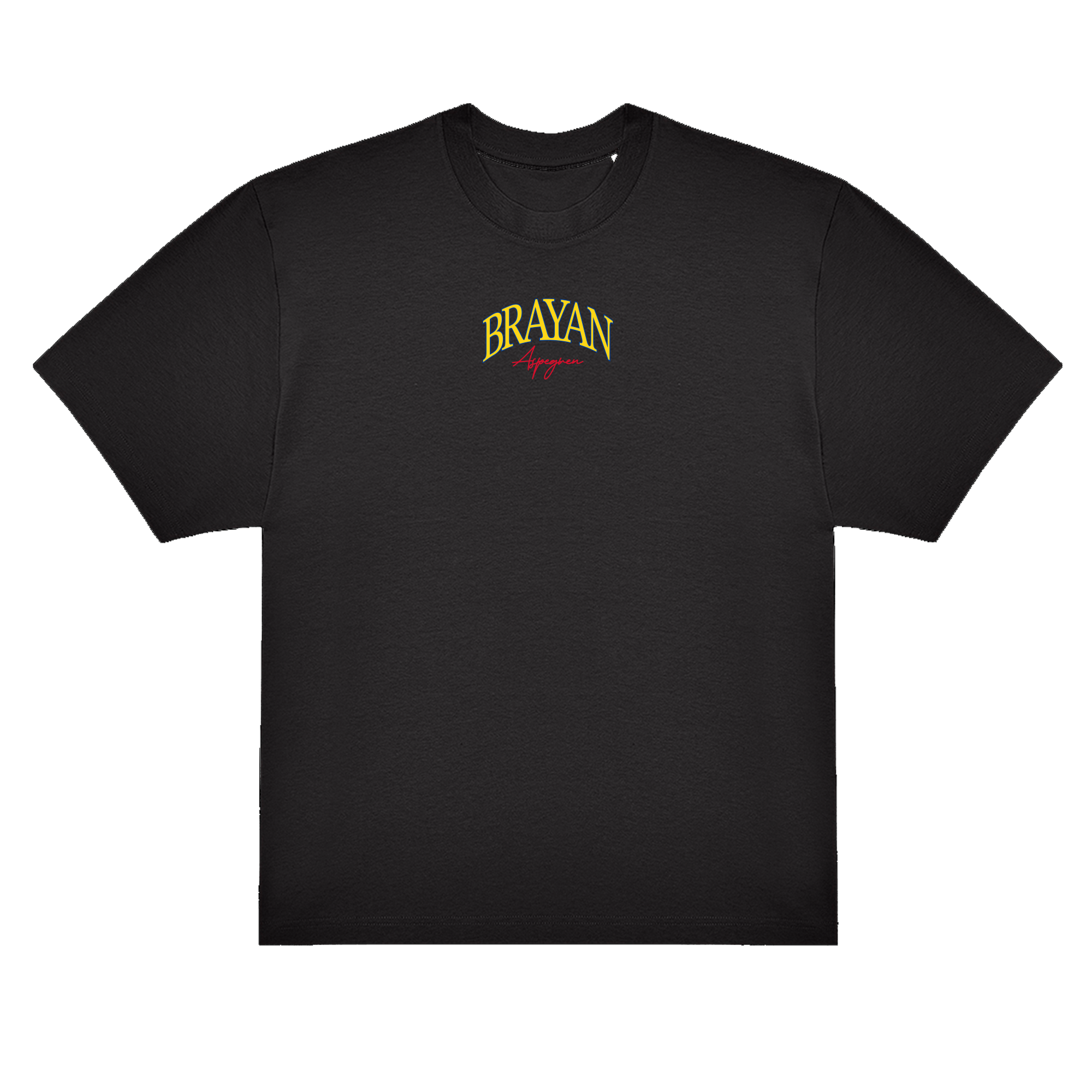 Brayan Oversize T-paita pienellä logolla